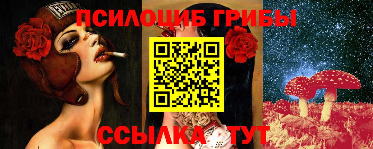 Галлюциногенные грибы прущие грибы Усть-Лабинск